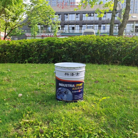 冠牌墙面漆 贵州贵阳墙面氟碳漆 耐候图4